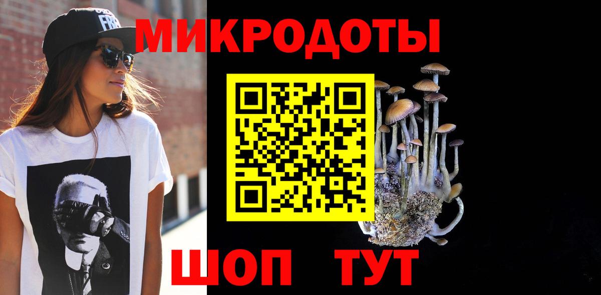 Кинель  Галлюциногенные грибы мицелий  купить   Вход с VPN 